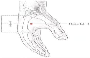 Dentist St. Peter - Accupuncture Chart for Hand